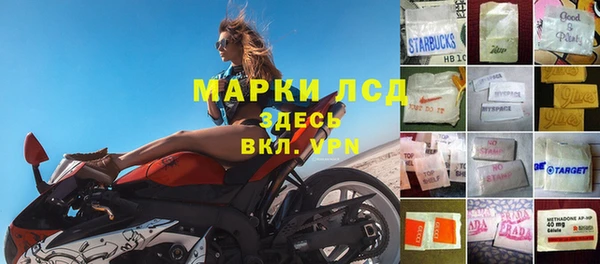 экстази Арсеньев