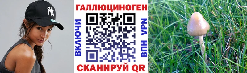 Псилоцибиновые грибы ЛСД Купить закладки Велиж